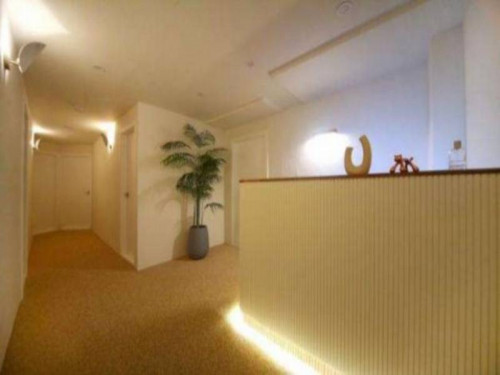 도파민스웨디시(천안,두정동)